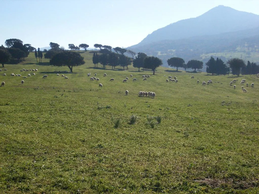 Agriturismo Usurtala Orani 0*,